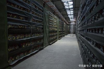 A large mining farm with multiple rigs